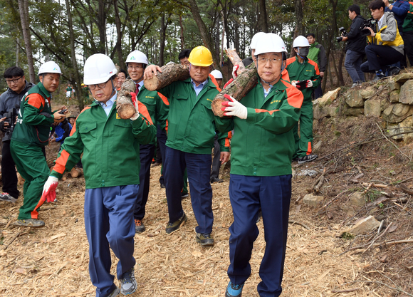 소나무 재선충병 방제 합동 실제 훈련 장면. <사진=경상북도>