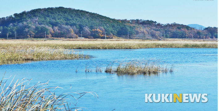 서한리 습지 모습