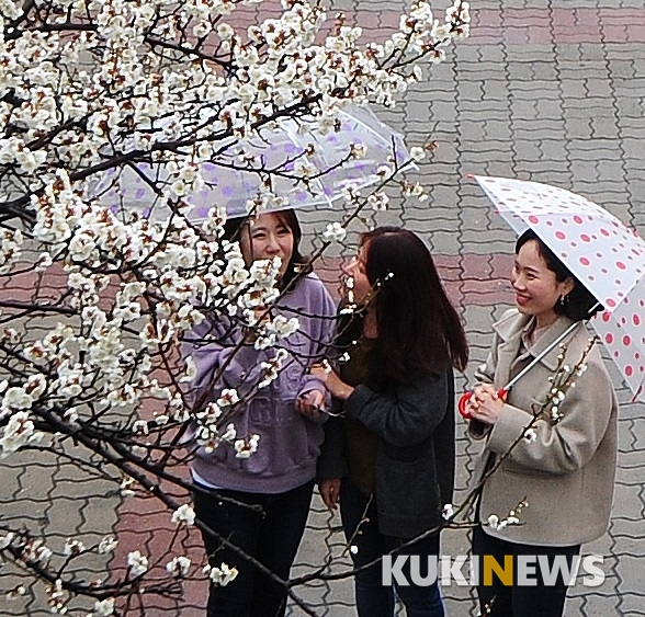 주말 대구·경북지역은 비가 한 차례 예상되면서 더위가 한 풀 꺾일 전망이다. 쿠키뉴스 DB.