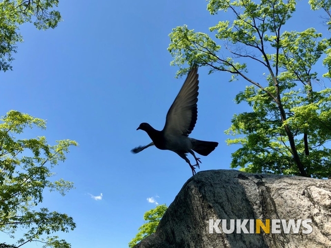 서울 남산
