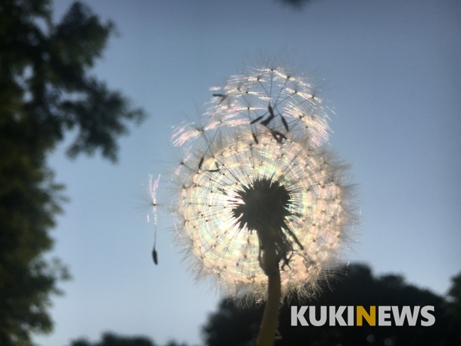서울 성북구